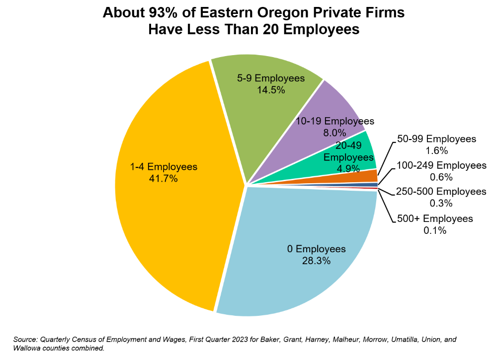 Graph showing About 93% of Eastern Oregon Private Firms Have Less Than 20 Employees